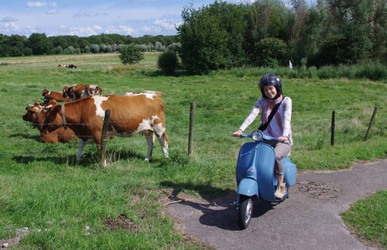 Is A Vespa Good for Ladies? Learn If Height And Strength Matters